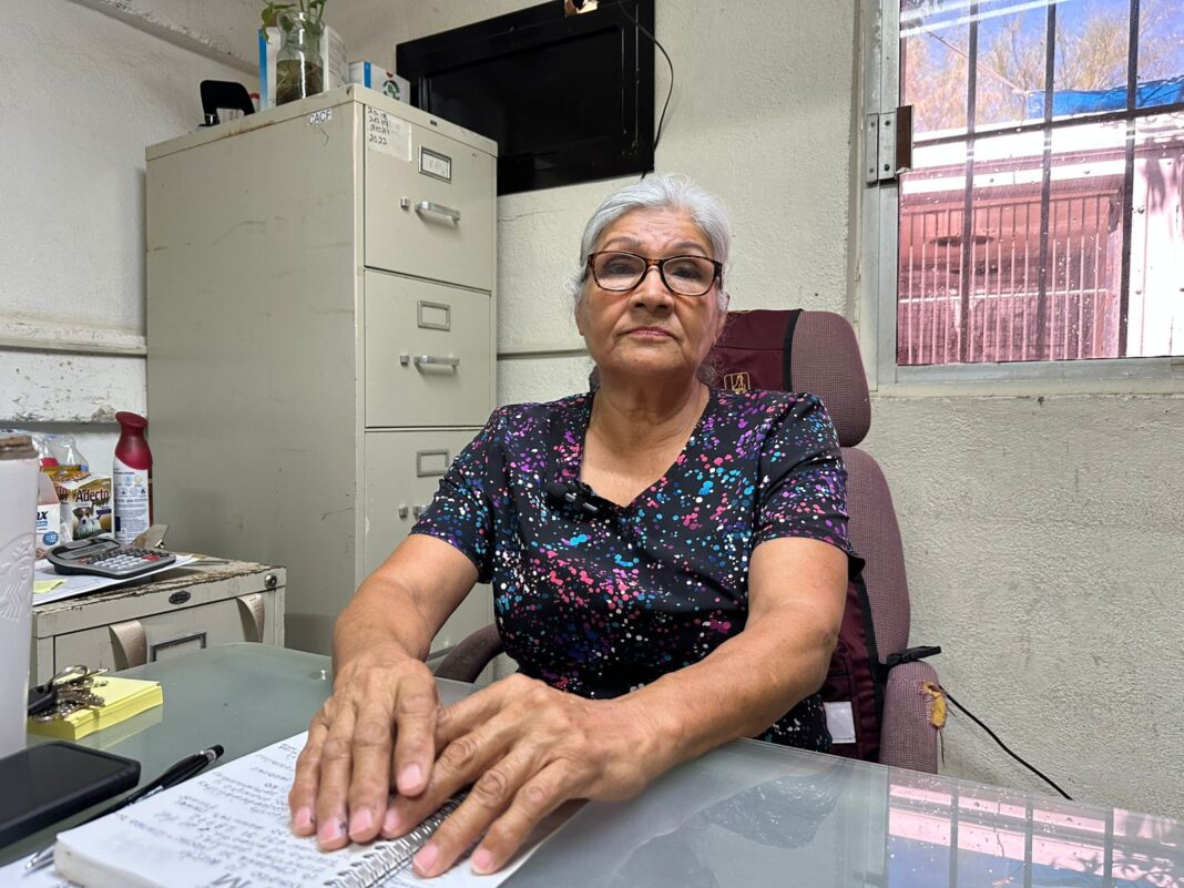 Promueven campañas gratuitas de esterilización para mascotas en agosto