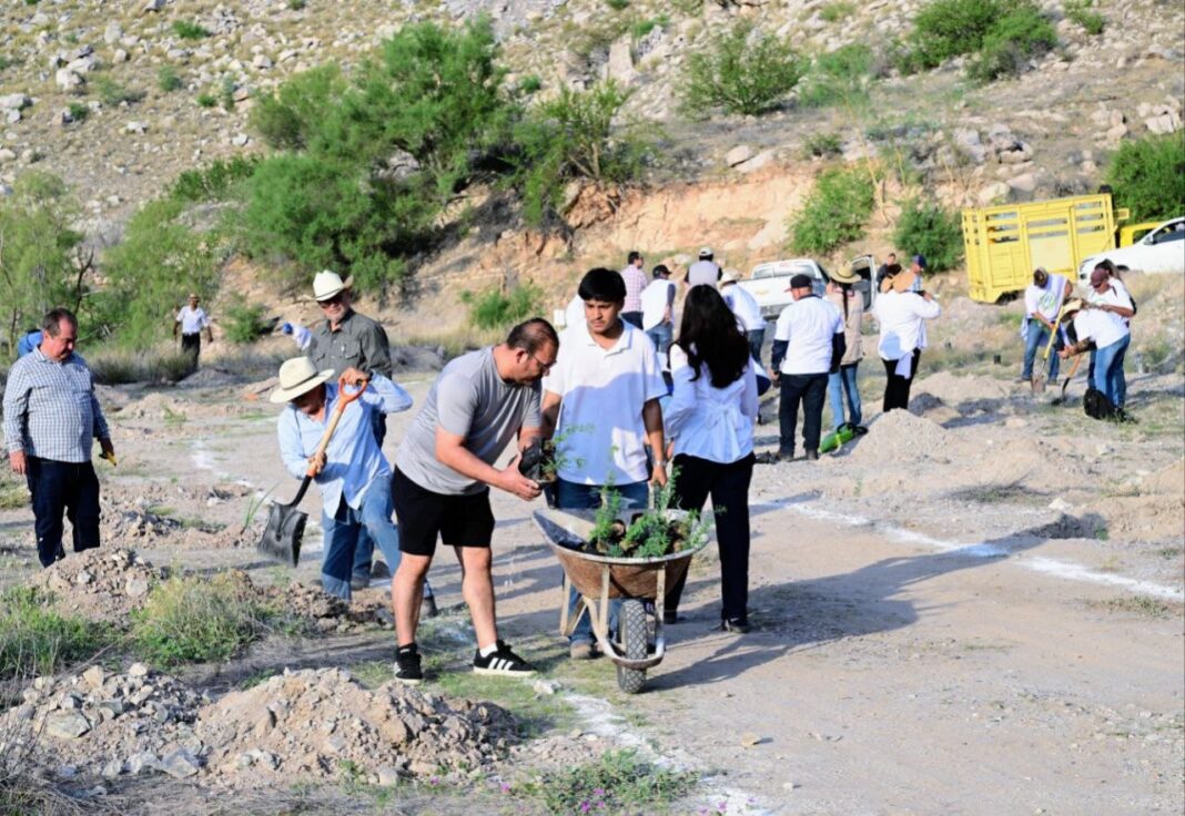Con más de 13 mil árboles, Gobernador Durazo suma a Sonora a Jornada Nacional de Reforestación de Presidenta Sheinbaum
